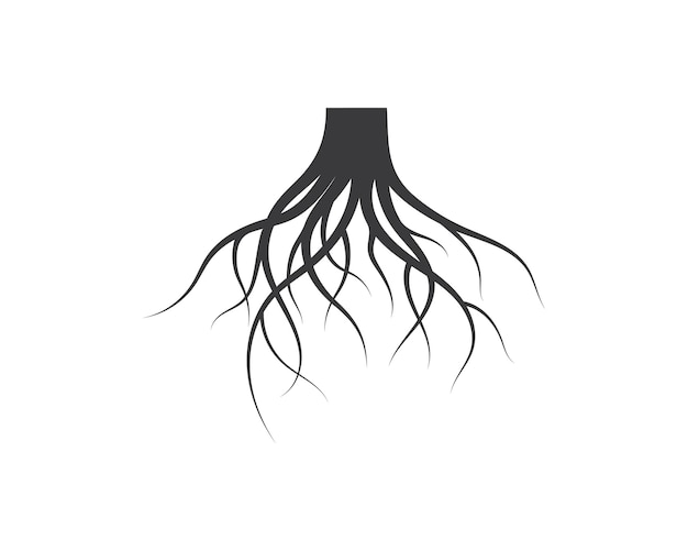 Vecteur modèle de conception d'illustration d'icône de vecteur de racines d'arbre
