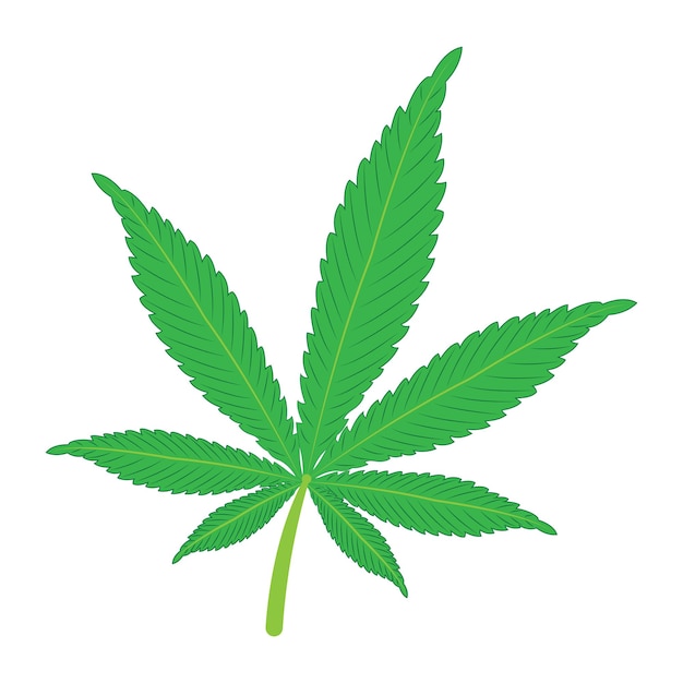 modèle de conception d'illustration vectorielle de l'icône de la feuille de marijuana