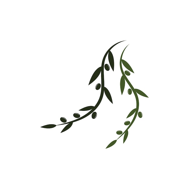 Modèle De Conception Olive Icône Vector Illustration