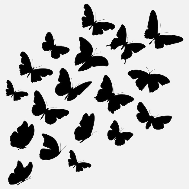 Modèle De Conception De Silhouette De Papillon