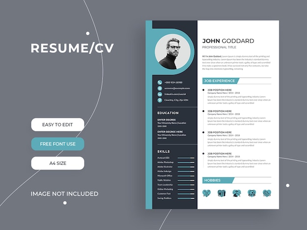 Modèle De Curriculum Vitae Moderne