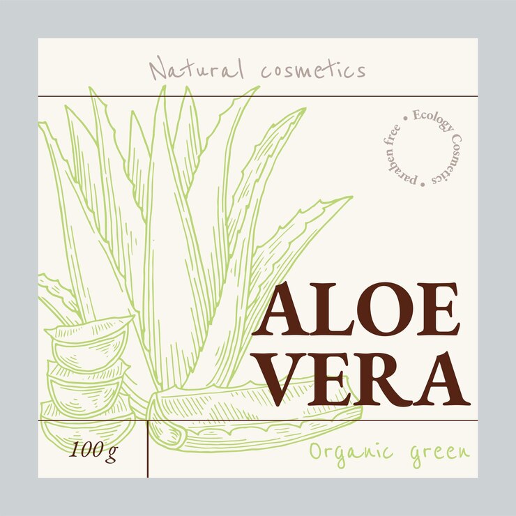 Vecteur modèle de l'emblème de l'aloe vera