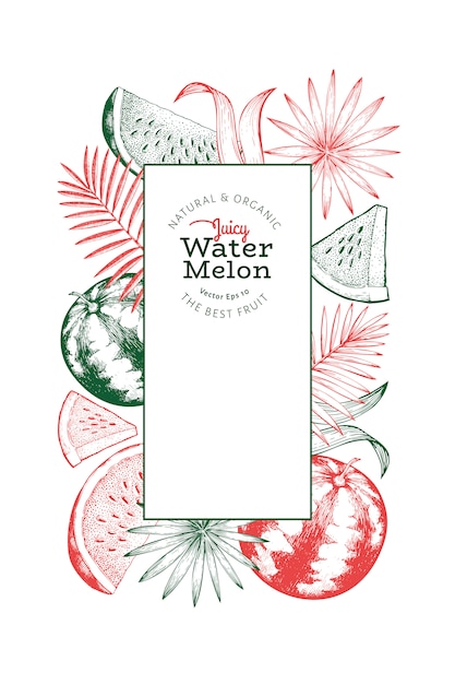 Modèle De Feuilles De Melon D'eau Et Tropicales.