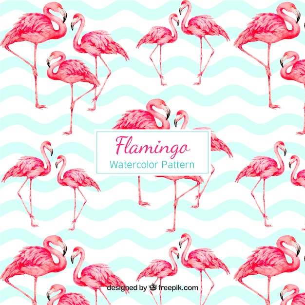 Modèle De Flamants Roses Dans Un Style Aquarelle