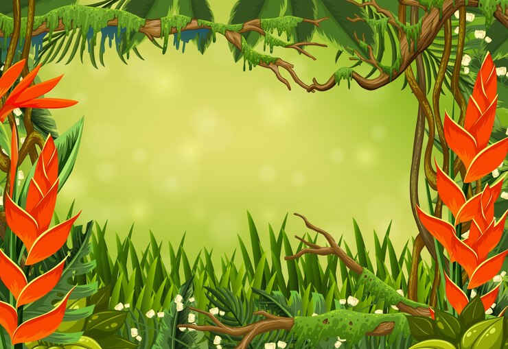 Vecteur modèle de frontière avec oiseau de paradis et de l&#39;herbe