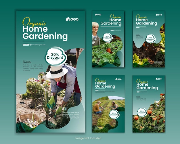 Vecteur modèle d'histoires instagram de jardinage ou agriculture biologique, modèle d'histoires instagram de jardinage domestique