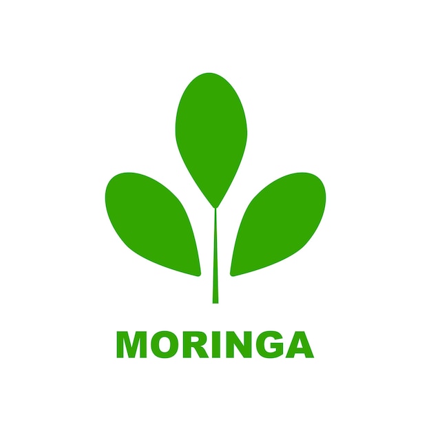 modèle d'icône d'illustration vectorielle de conception de logo de feuille de moringa vert avec un concept moderne
