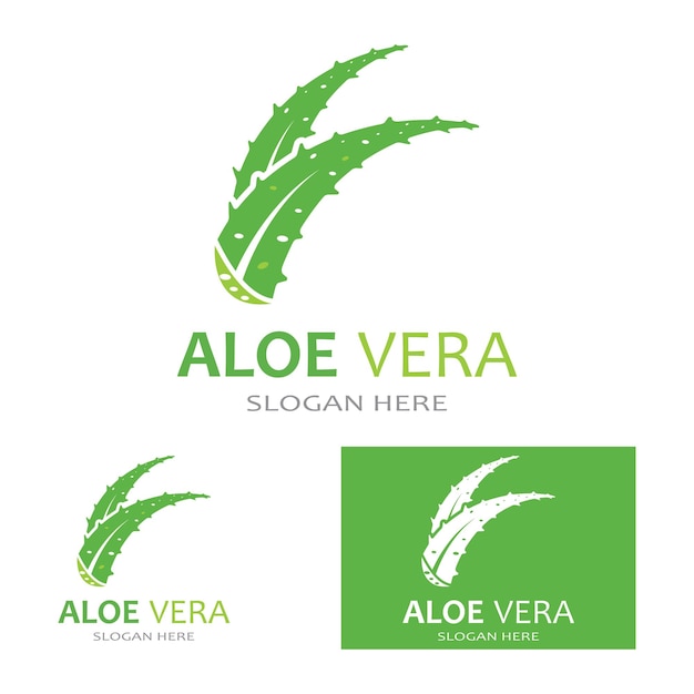 Modèle D'illustration Vectorielle Du Logo Aloe Vera