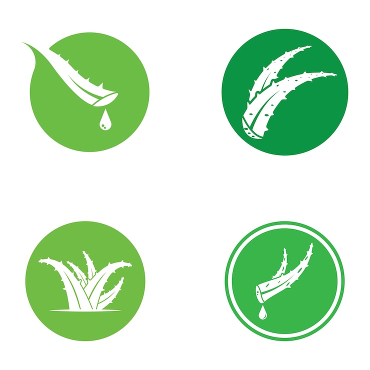 Vecteur modèle d'illustration vectorielle du logo aloe vera