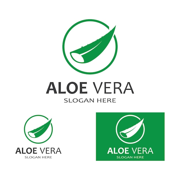 Modèle D'illustration Vectorielle Du Logo Aloe Vera