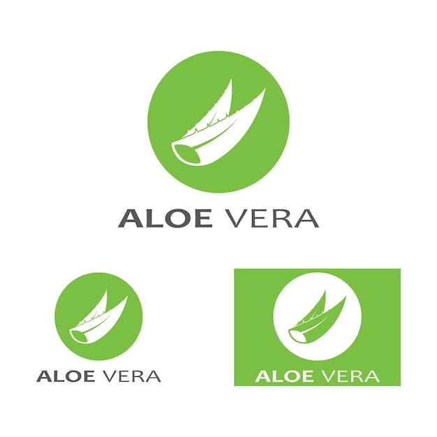 Modèle D'illustration Vectorielle Du Logo Aloe Vera