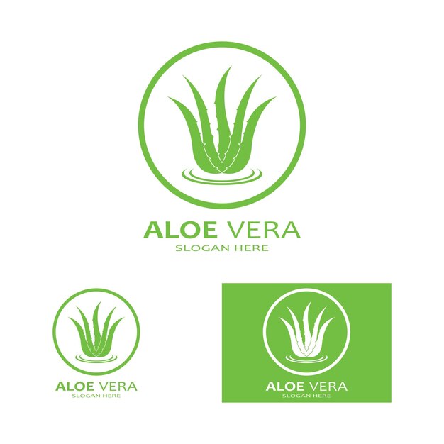 Modèle D'illustration Vectorielle Du Logo Aloe Vera