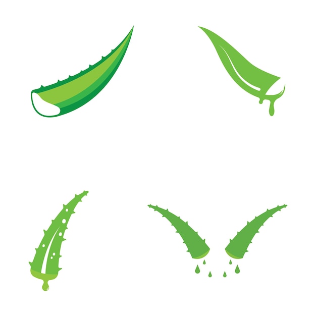 Modèle d'illustration vectorielle du logo Aloe vera