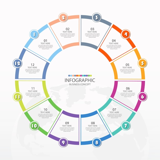 Modèle D'infographie De Cercle De Base Avec 12 étapes, Processus Ou Options, Diagramme De Processus.