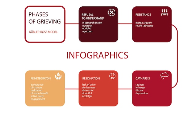 Modèle D'infographie D'entreprise De Présentation Avec 5 Options Illustration Vectorielle