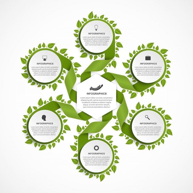 Vecteur modèle d'infographie des options. rubans à feuilles vertes.