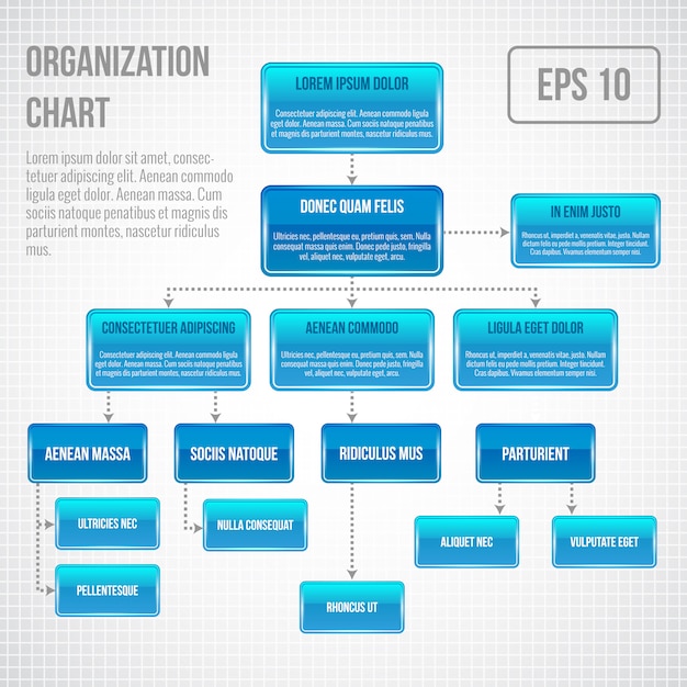 Vecteur modèle d'infographie d'organigramme