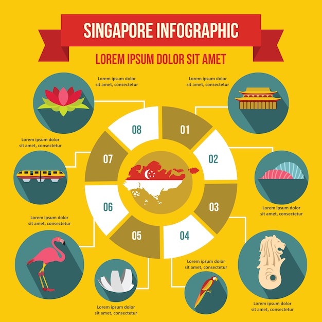 Modèle D'infographie De Singapour, Style Plat