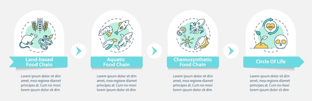 Modèle D'infographie Vectorielle De La Chaîne Alimentaire. Processus Biologique. éléments De Conception De Présentation De La Biodiversité. Visualisation Des Données En 4 étapes. Diagramme De Chronologie De Processus. Disposition Du Flux De Travail Avec Des Icônes Linéaires