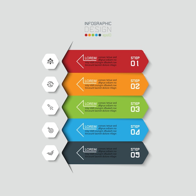 Modèle D'infographie