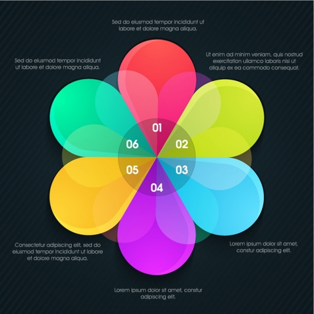 Modèle Infographique Colorful Fleur En Forme