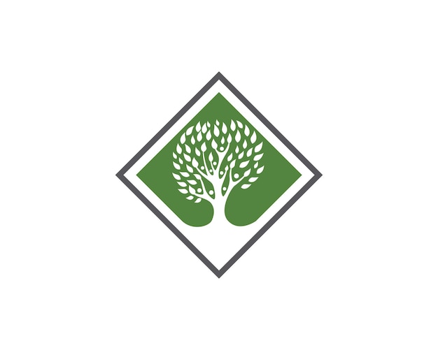 Modèle De Logo D'arbre Généalogique