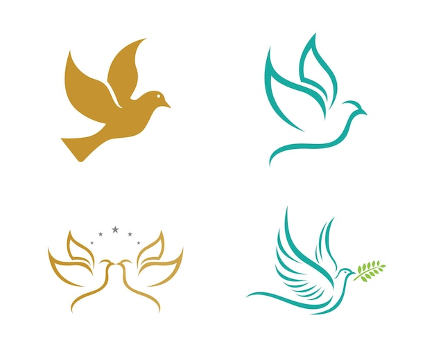 Modèle de logo de colombe d'oiseau