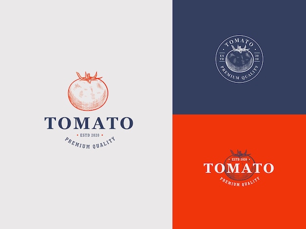 Modèle De Logo De Dessin à La Main Aux épices De Tomate Avec Emblème De Vecteur Vintage élégant De Typographie Vintage Premium