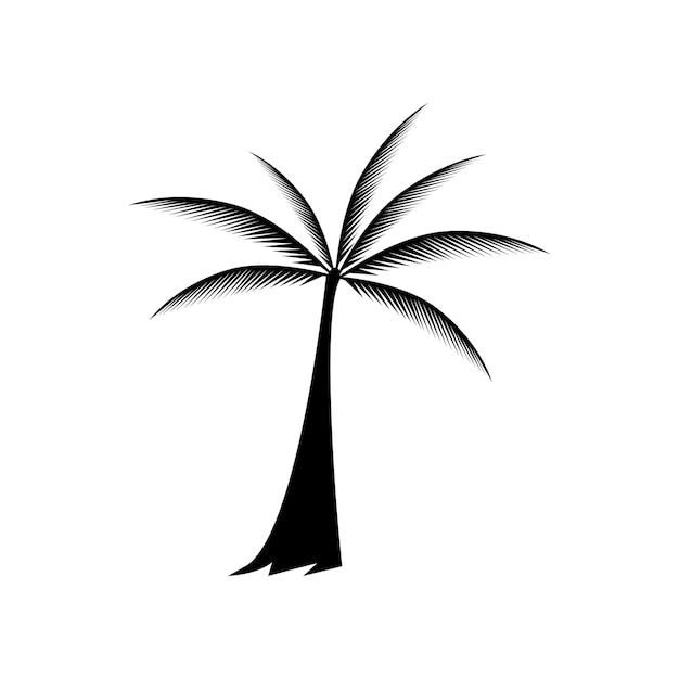 Modèle De Logo D'été Palmier