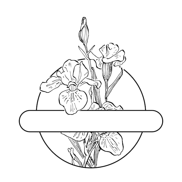 Modèle De Logo Floral Iris Dessiné à La Main