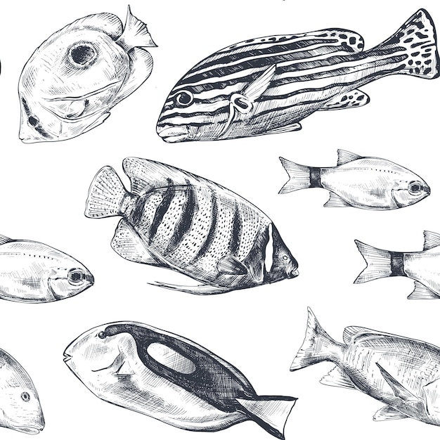 Modèle De Mer Sans Couture Monochrome De Vecteur Avec Des Poissons Tropicaux Monde Sous-marin Fond Sans Fin Graphique Dessiné à La Main Noir Et Blanc