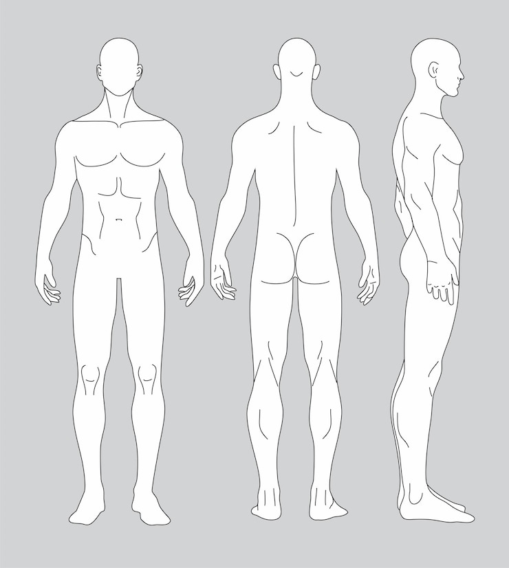Vecteur modèle de mode de l'homme 9 taille de tête pour le dessin technique homme figure de mode