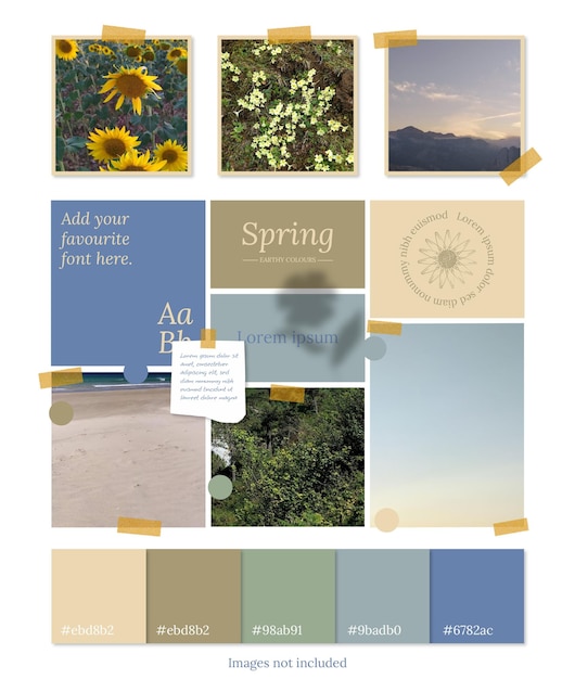 Modèle de moodboard de printemps dans des tons terreux