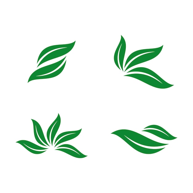 Vecteur modèle d'ornement de feuille verte modèle de logo vectoriel vert eco