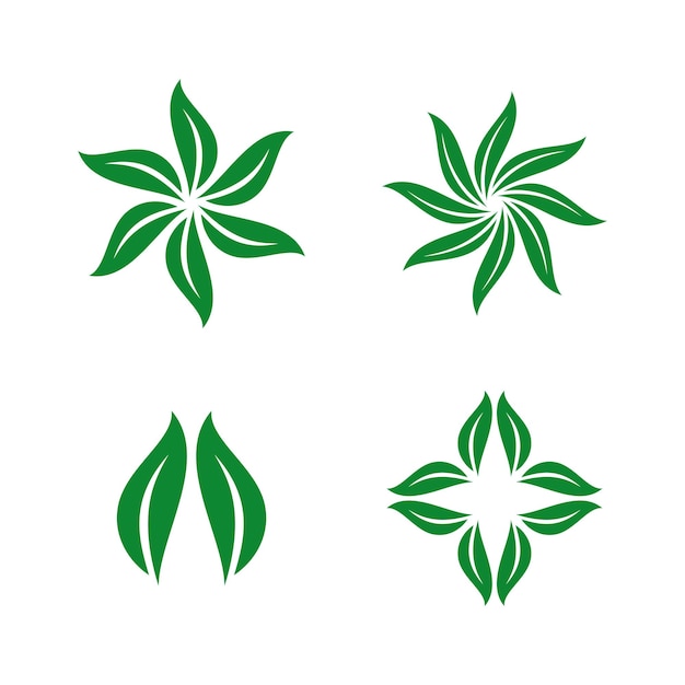 Vecteur modèle d'ornement de feuille verte modèle de logo vectoriel vert eco