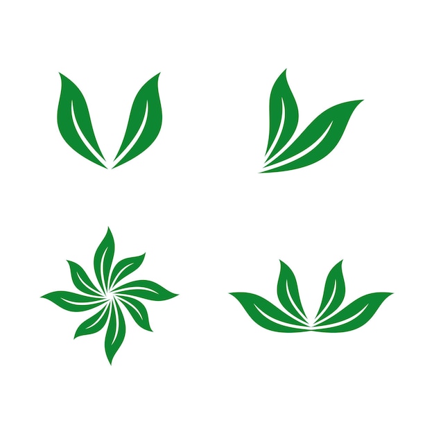 Vecteur modèle d'ornement de feuille verte modèle de logo vectoriel vert eco