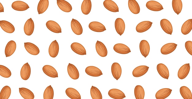 Modèle panoramique d'amandes grillées sur un fond blanc Vector