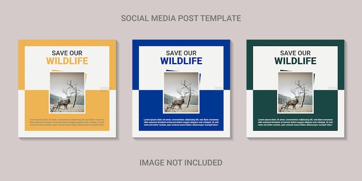 Vecteur modèle de publication de médias sociaux de nature sauvage