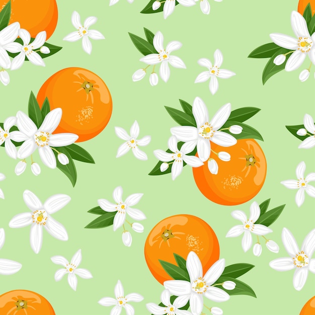 Modèle Sans Couture Avec Agrumes Oranges Et Fleurs Blanches Sur Fond Vert.