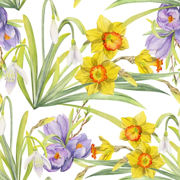 Modèle sans couture aquarelle dessinés à la main avec des fleurs de printemps jonquilles crocus perce-neige isolé sur fond blanc Design pour invitations mariage cartes de voeux papier peint impression textile