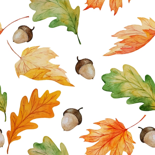 modèle sans couture aquarelle de feuilles d'érable et de chêne et de glands isolés sur fond blanc