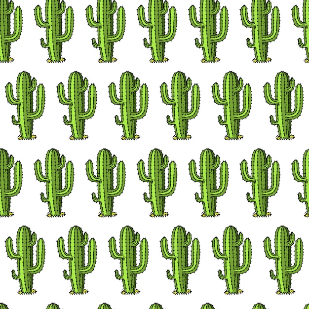 Modèle Sans Couture De Cactus. Plante Succulente Ou Tropicale. Ouest Sauvage Et Cow-boy. Gravé à La Main Dessiné Dans Un Vieux Croquis Ou Un Style Vintage Et Des étiquettes Pour Les Impressions.