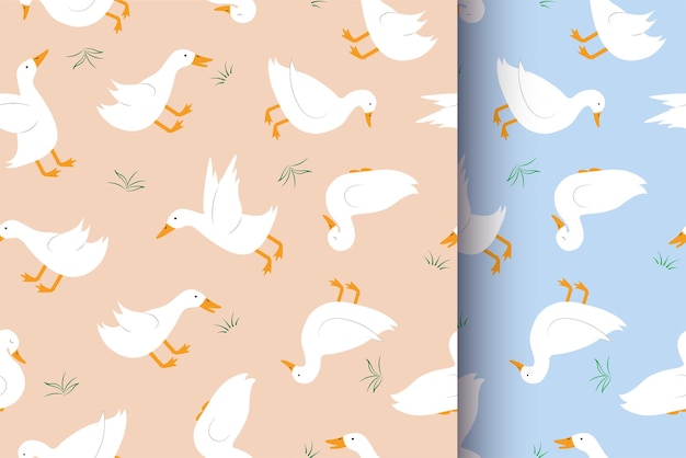 Modèle Sans Couture Avec Des Canards Blancs Fond Sans Fin Pour Tissu