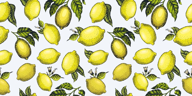 Modèle Sans Couture De Citron.