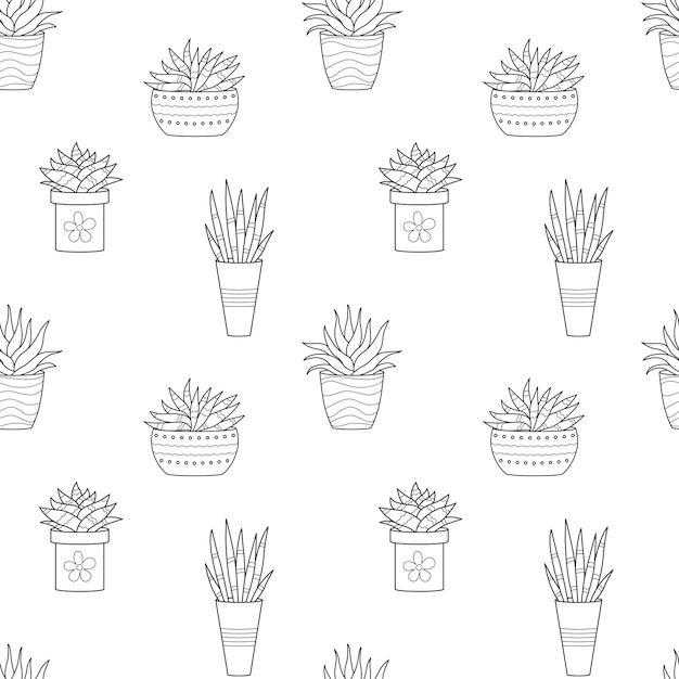 Modèle Sans Couture Avec Contour De Doodle Dessiné à La Main Cactus En Pot Maison Plante Linéaire Succulente Illustration Vectorielle Noir Et Blanc Sur Fond Blanc