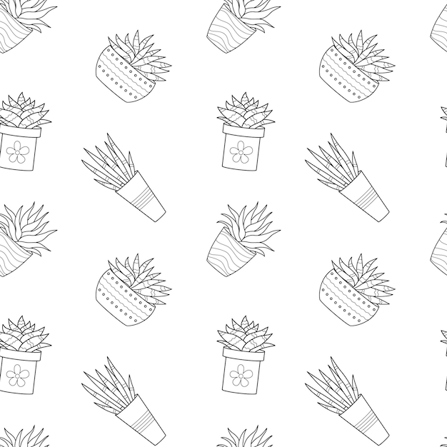 Modèle sans couture avec contour de doodle dessiné à la main cactus en pot Maison plante linéaire succulente Illustration vectorielle noir et blanc sur fond blanc