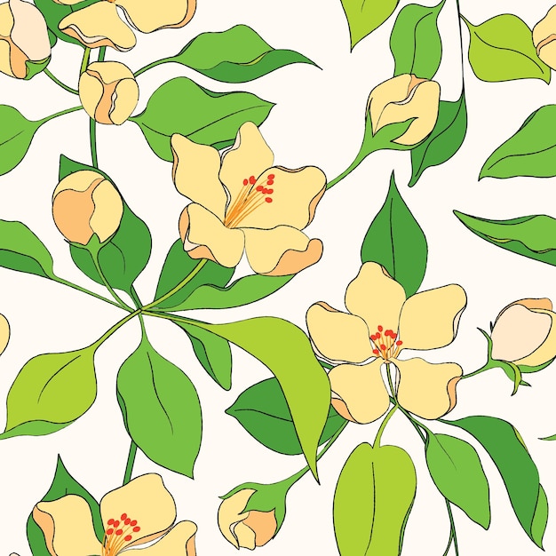 Modèle sans couture de contour avec fleur de pommier Imprimé floral de printemps fond botanique romantique avec des feuilles de fleurs sur une branche Branches fleuries sur fond blanc Illustration vectorielle