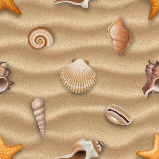 Vecteur modèle sans couture avec des coquillages sur fond de sable texture d'été sans couture