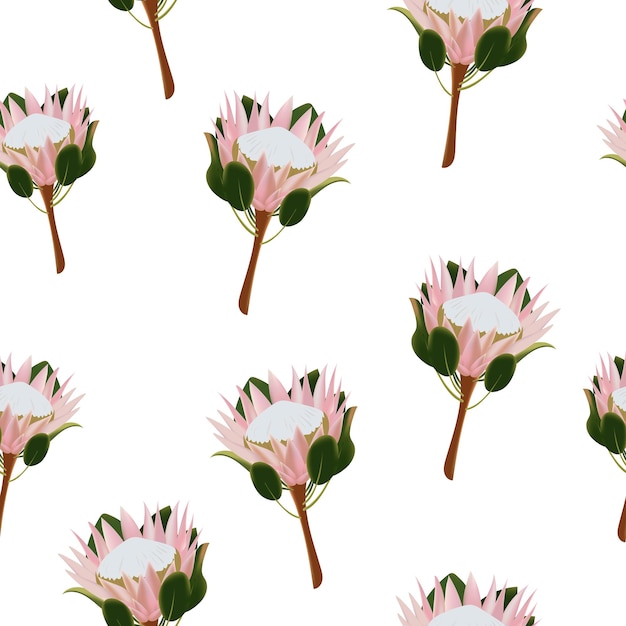 Modèle sans couture de délicates fleurs de protée rose Illustration vectorielle