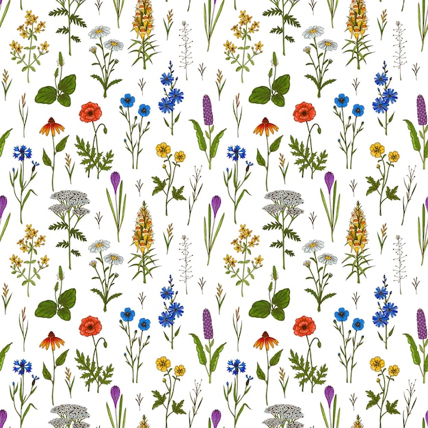 Modèle Sans Couture D'été De Fleurs De Prairie Illustration Vectorielle Dessinée à La Main Colorée Conception De Botanique